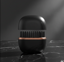 Anywhere Smooth Hair Brush